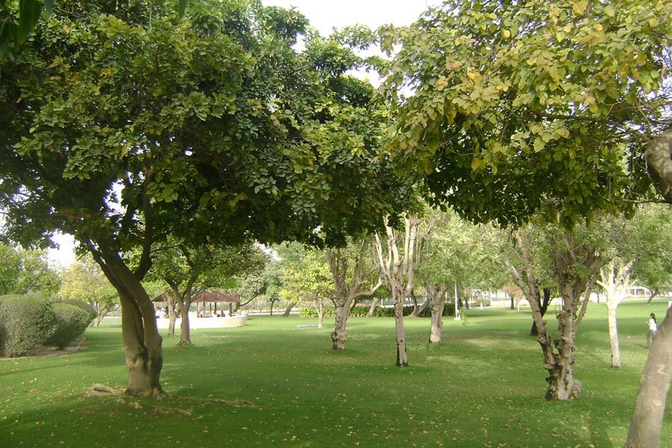Dubai Creek Park
