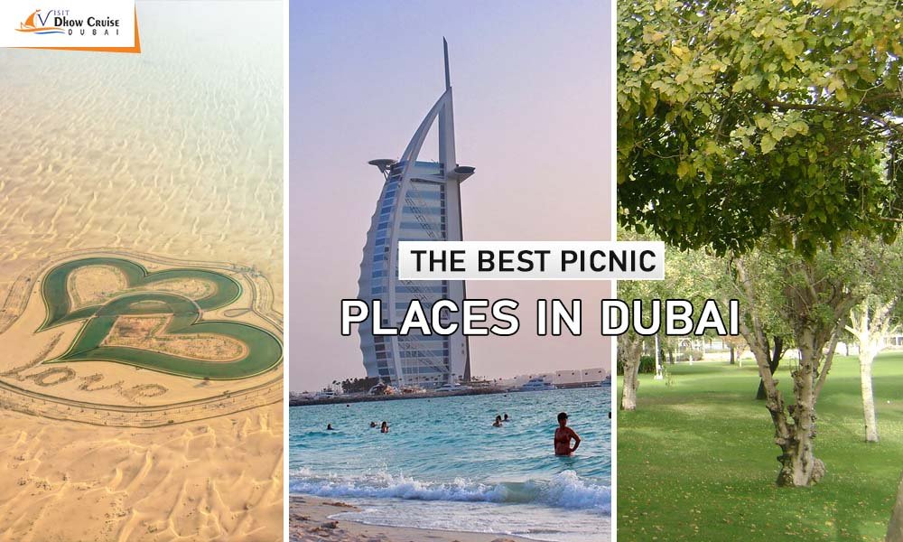 The Best Picnic Places in Dubai